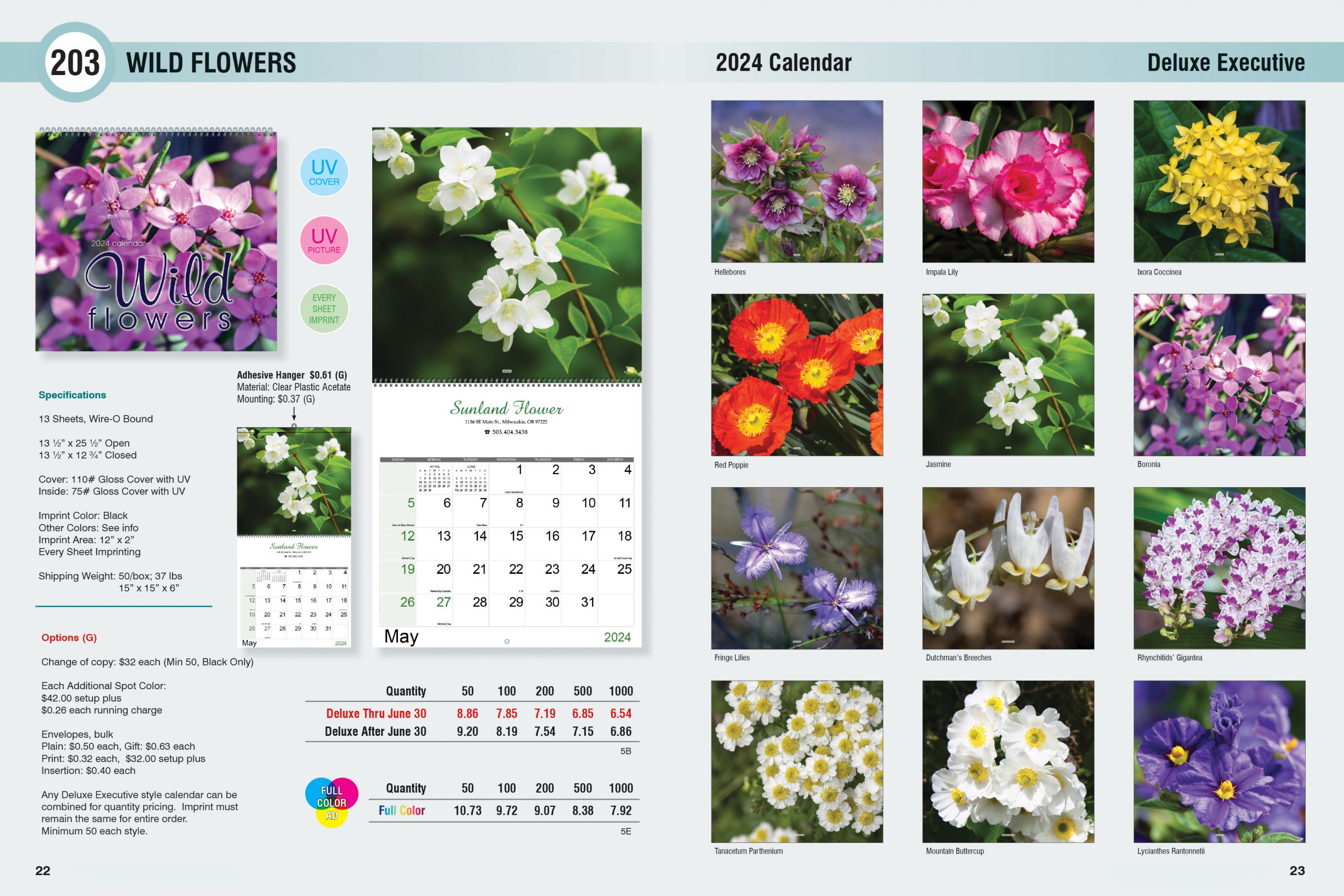 CCC-24_203_Wild Flowers